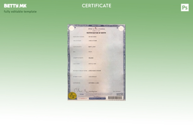 модерен стил, шаблон за извод од матична книга на родени во државата Флорида во 